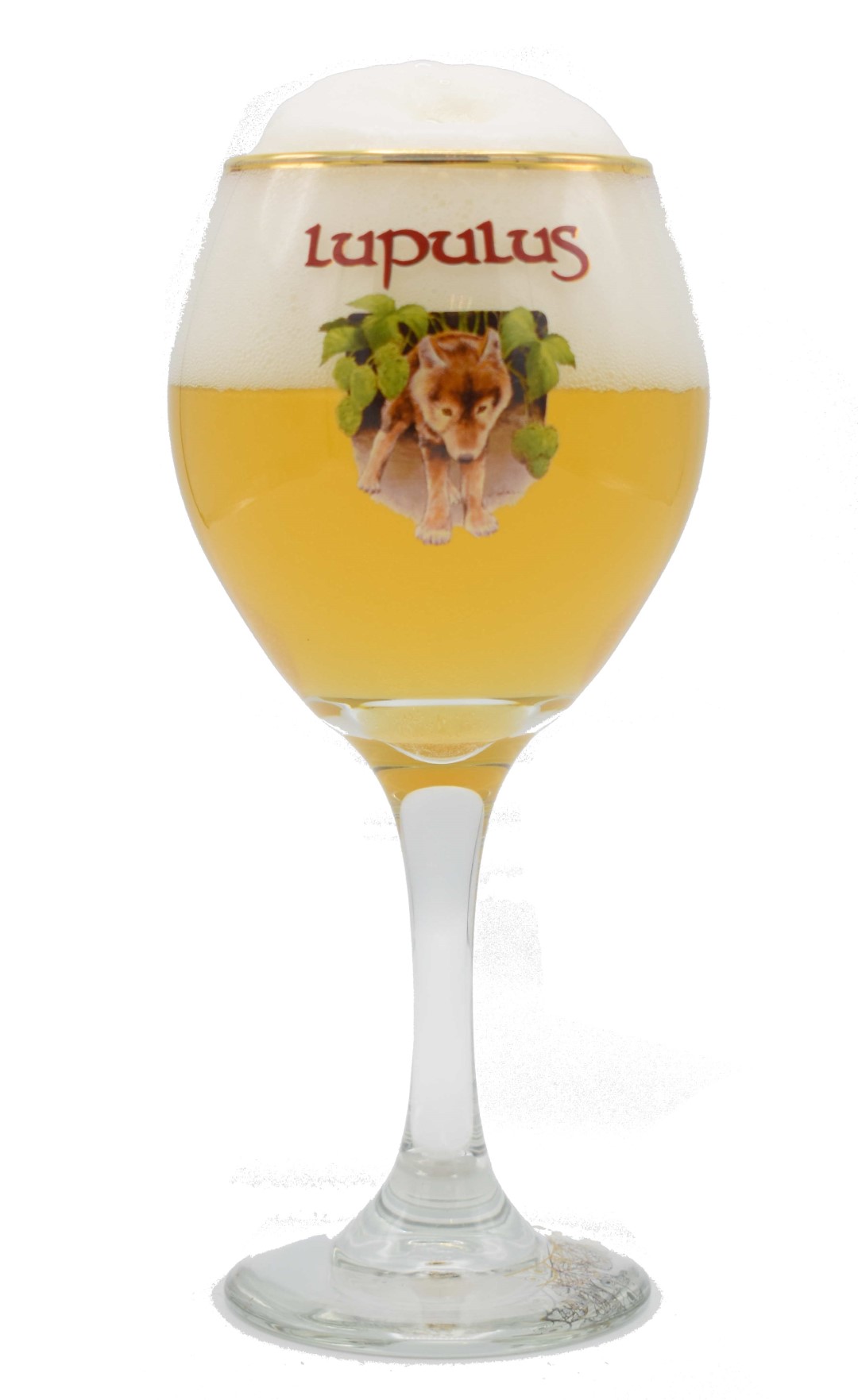 Glass Lupulus 6x25cl